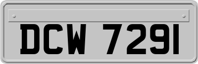 DCW7291