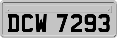 DCW7293