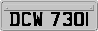 DCW7301