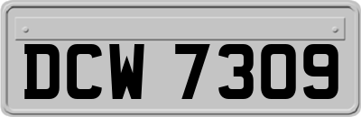 DCW7309