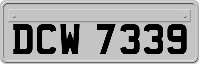 DCW7339