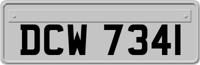 DCW7341