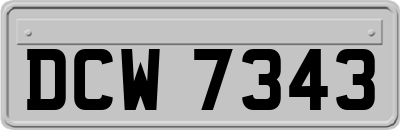 DCW7343