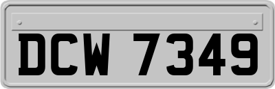 DCW7349