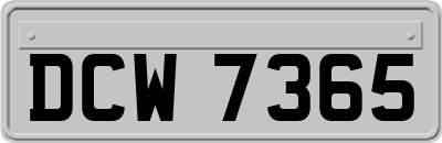 DCW7365