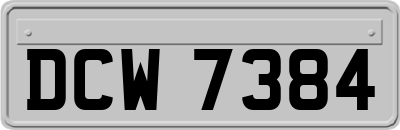 DCW7384