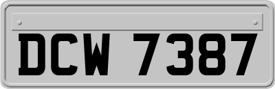 DCW7387