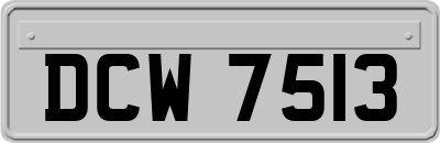 DCW7513
