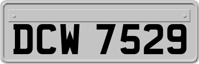 DCW7529