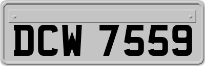 DCW7559