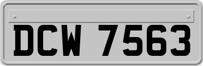 DCW7563