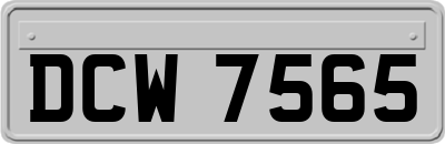 DCW7565