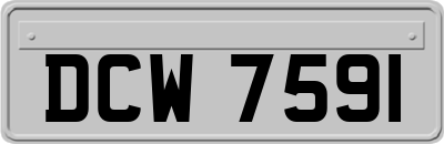 DCW7591