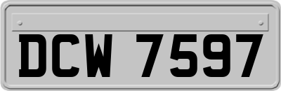 DCW7597
