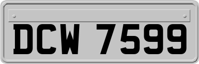 DCW7599