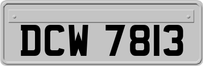 DCW7813