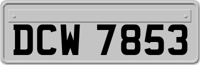 DCW7853