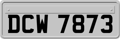 DCW7873