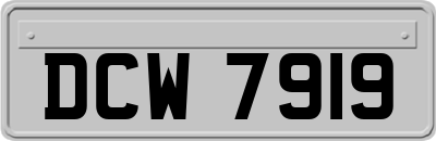 DCW7919
