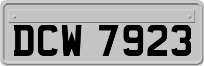DCW7923