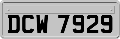 DCW7929