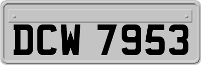 DCW7953