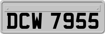 DCW7955