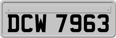 DCW7963