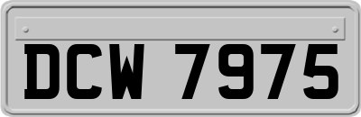 DCW7975