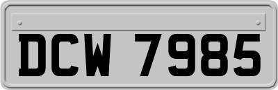DCW7985