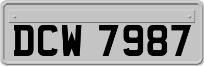 DCW7987