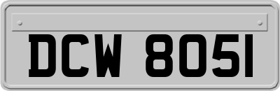 DCW8051
