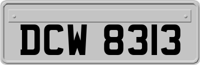 DCW8313