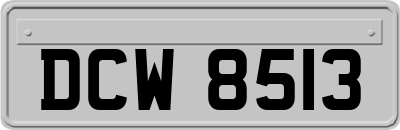 DCW8513