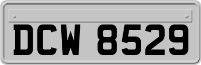 DCW8529