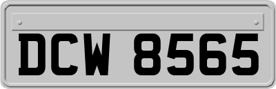 DCW8565