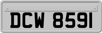 DCW8591