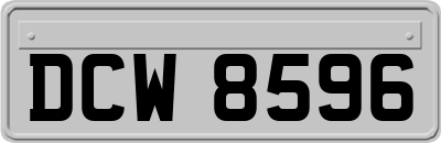 DCW8596