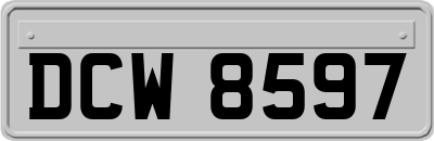 DCW8597