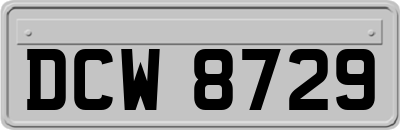 DCW8729