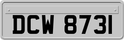 DCW8731