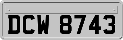 DCW8743