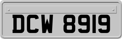 DCW8919