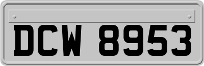 DCW8953