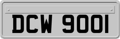 DCW9001