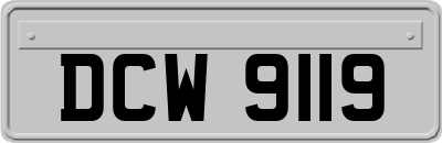 DCW9119