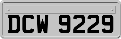 DCW9229