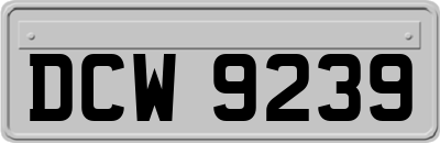 DCW9239