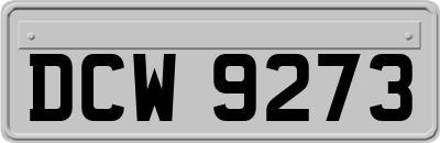 DCW9273