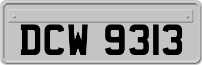 DCW9313